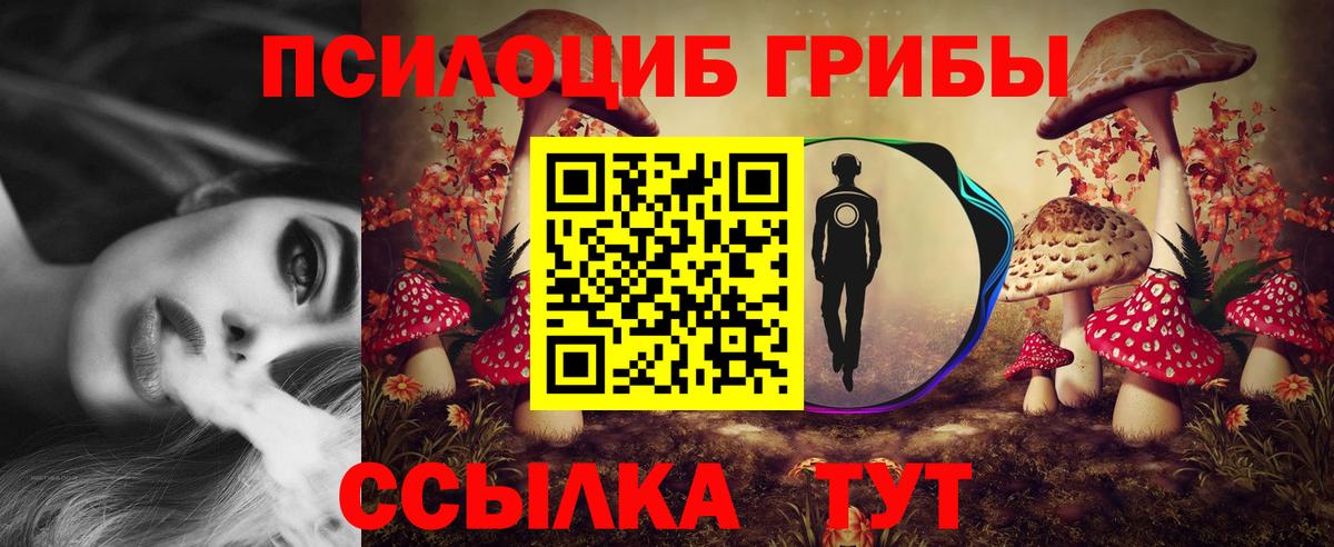 Мурино  Галлюциногенные грибы мухоморы  Галлюциногенные грибы Cubensis  Вход с VPN 