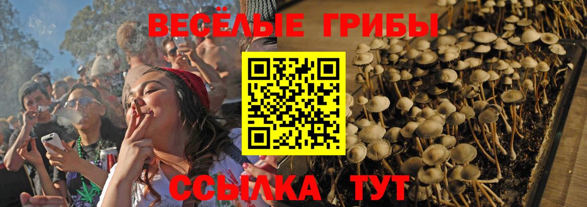 Галлюциногенные грибы мухоморы Мурино